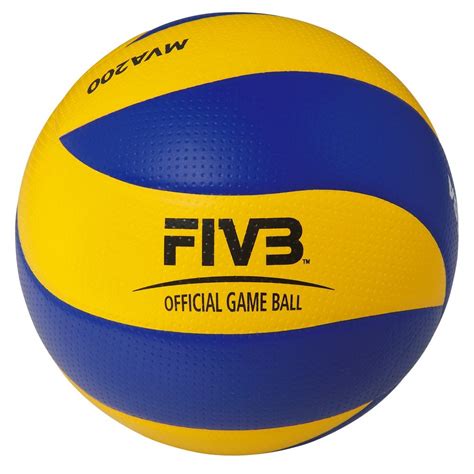 world most expensive volleyball